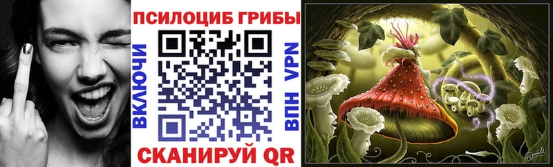 Галлюциногенные грибы ЛСД  Купить  Краснотурьинск 